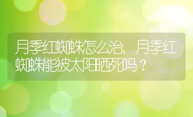 月季红蜘蛛怎么治,月季红蜘蛛能被太阳晒死吗？ | 养殖科普