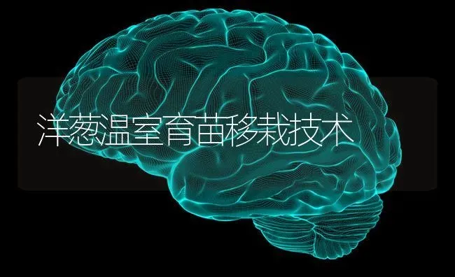 洋葱温室育苗移栽技术 | 养殖知识