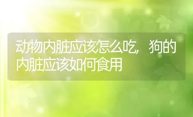 动物内脏应该怎么吃,狗的内脏应该如何食用 | 养殖学堂
