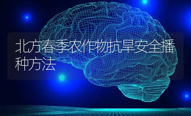 北方春季农作物抗旱安全播种方法 | 养殖知识