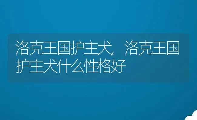 洛克王国护主犬,洛克王国护主犬什么性格好 | 养殖资料