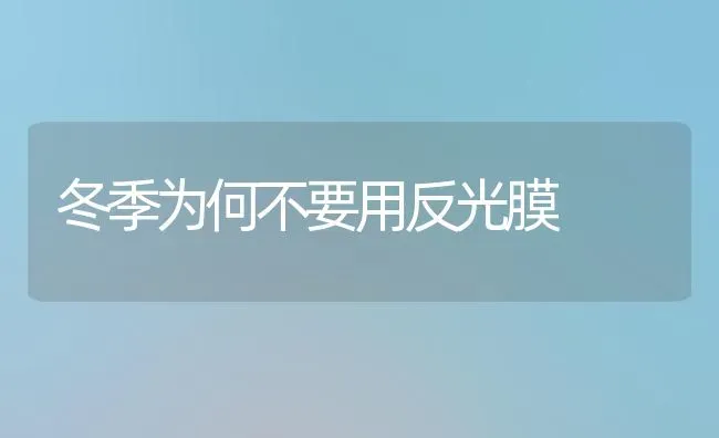 冬季为何不要用反光膜 | 养殖知识