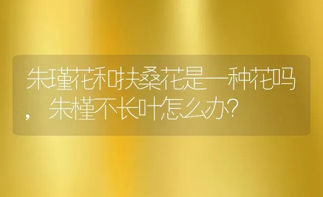 朱瑾花和扶桑花是一种花吗,朱槿不长叶怎么办？ | 养殖科普