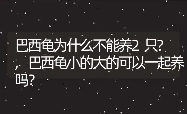 巴西龟为什么不能养2只?,巴西龟小的大的可以一起养吗？ | 养殖学堂