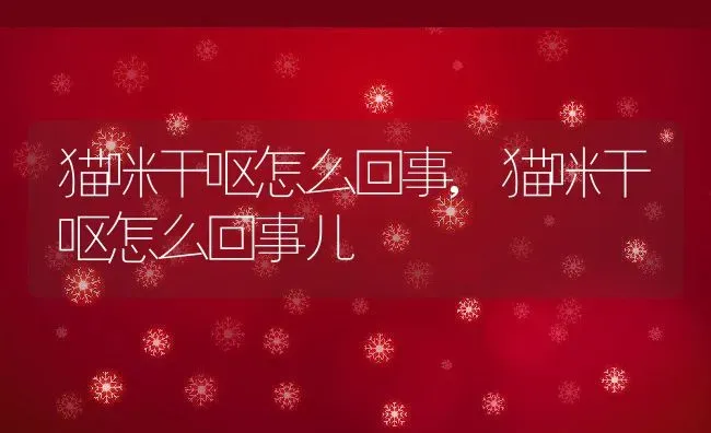 猫咪干呕怎么回事,猫咪干呕怎么回事儿 | 养殖资料