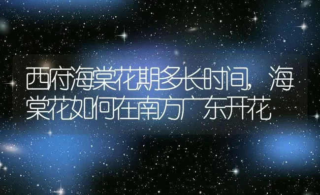 西府海棠花期多长时间,海棠花如何在南方广东开花 | 养殖学堂