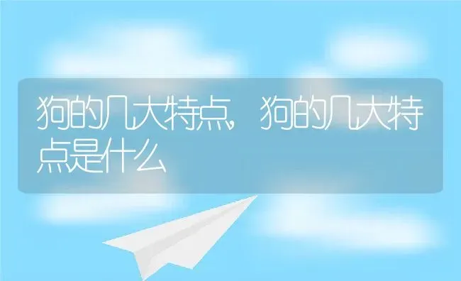 狗的几大特点,狗的几大特点是什么 | 养殖科普
