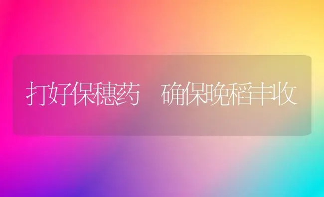 打好保穗药 确保晚稻丰收 | 养殖知识