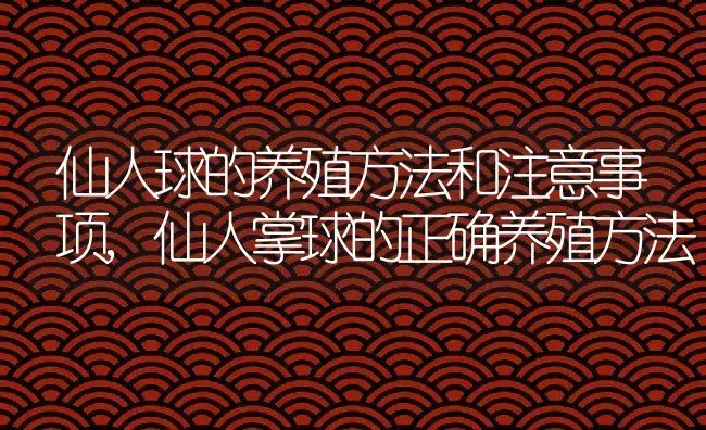 仙人球的养殖方法和注意事项,仙人掌球的正确养殖方法 | 养殖学堂