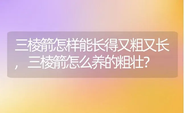 三棱箭怎样能长得又粗又长,三棱箭怎么养的粗壮？ | 养殖科普
