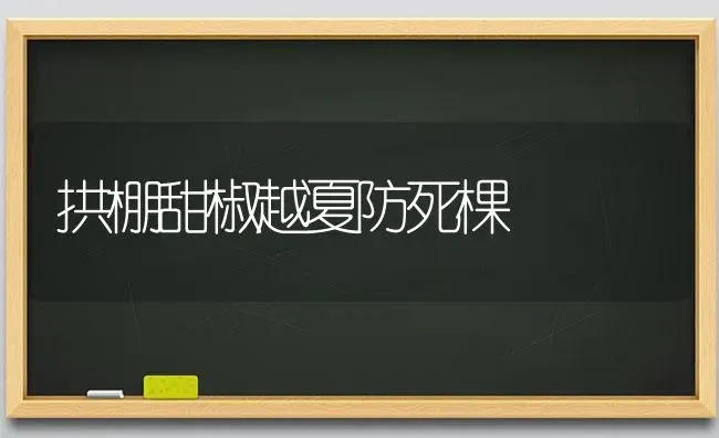 拱棚甜椒越夏防死棵 | 养殖技术大全