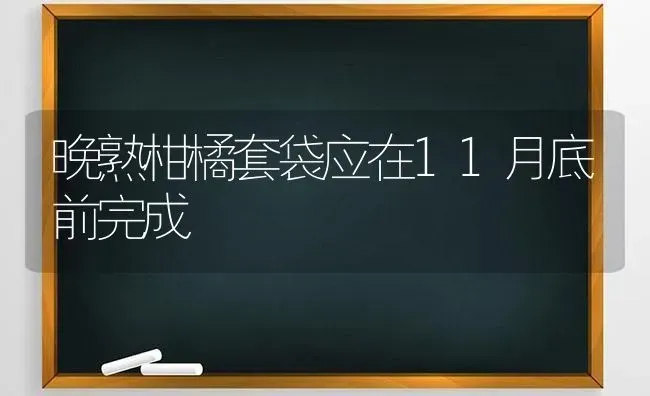 晚熟柑橘套袋应在11月底前完成 | 养殖技术大全