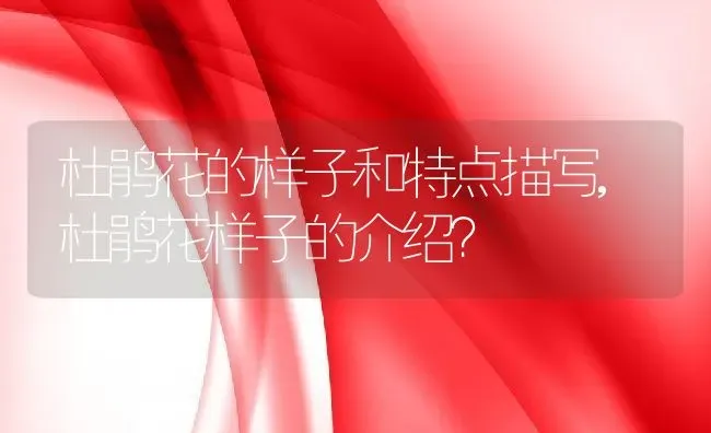 葛根适合什么地方种植,葛根产地有哪些？ | 养殖科普