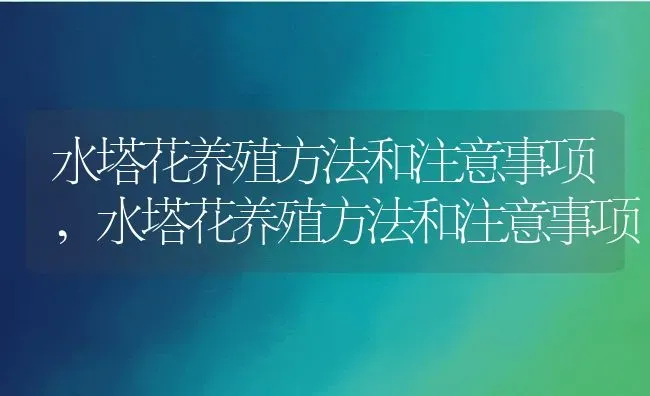 水塔花养殖方法和注意事项,水塔花养殖方法和注意事项 | 养殖科普