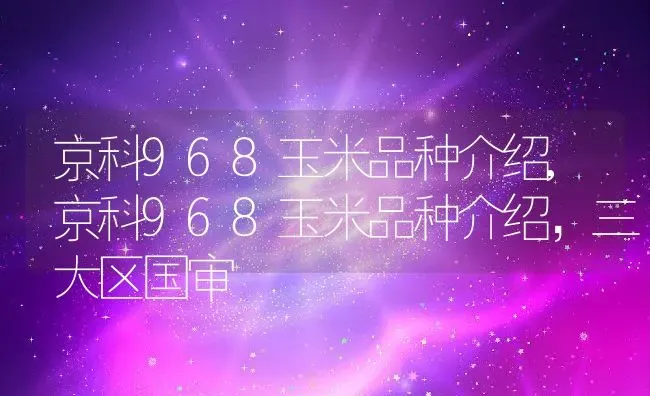 京科968玉米品种介绍,京科968玉米品种介绍，三大区国审 | 养殖科普