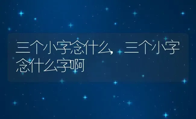 三个小字念什么,三个小字念什么字啊 | 养殖资料