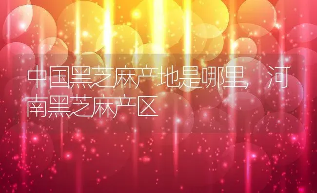 中国黑芝麻产地是哪里,河南黑芝麻产区 | 养殖学堂