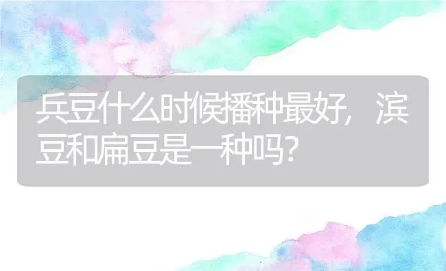 兵豆什么时候播种最好,滨豆和扁豆是一种吗？ | 养殖科普