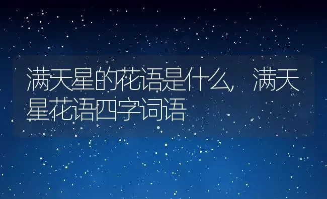 满天星的花语是什么,满天星花语四字词语 | 养殖学堂