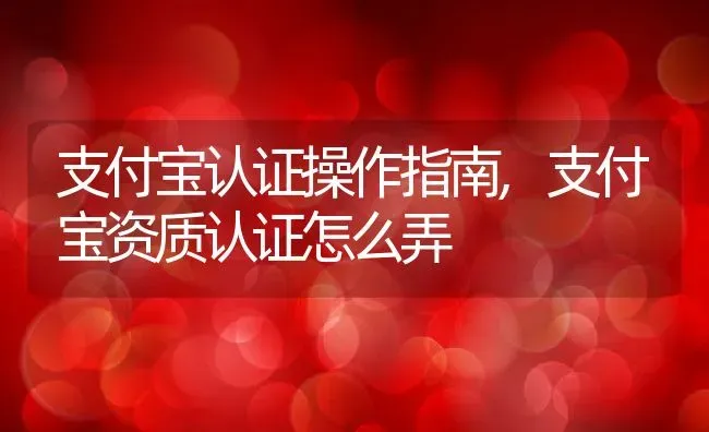 支付宝认证操作指南,支付宝资质认证怎么弄 | 养殖学堂