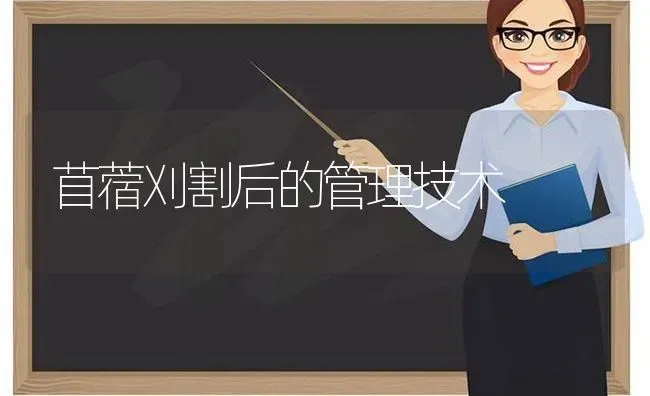 苜蓿刈割后的管理技术 | 养殖技术大全