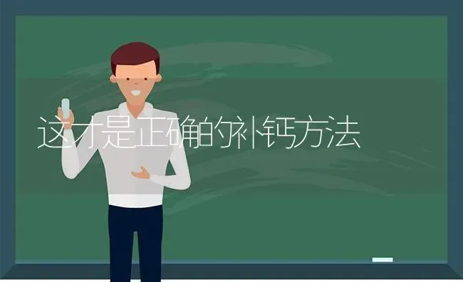 这才是正确的补钙方法 | 养殖技术大全