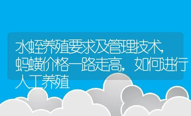 水蛭养殖要求及管理技术,蚂蟥价格一路走高，如何进行人工养殖 | 养殖学堂