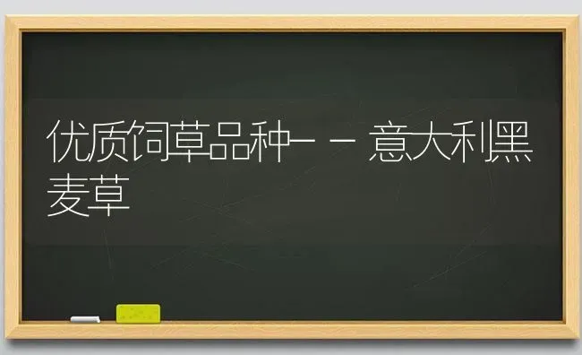 优质饲草品种--意大利黑麦草 | 养殖技术大全