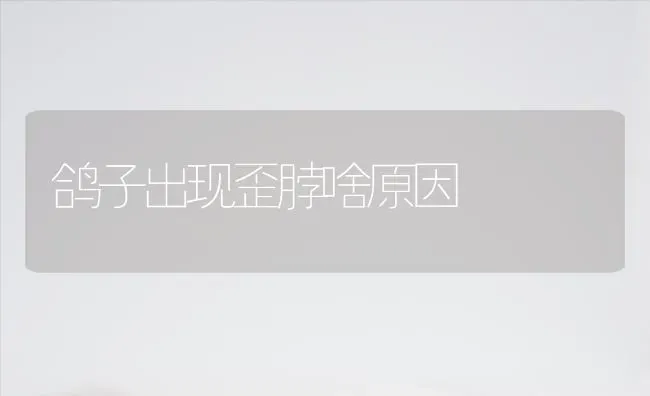 鸽子出现歪脖啥原因 | 养殖技术大全
