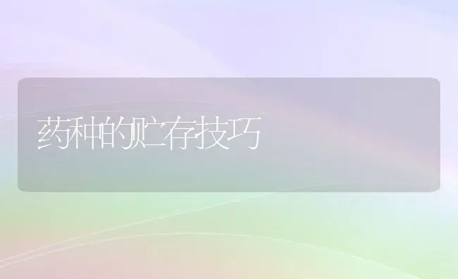 药种的贮存技巧 | 养殖技术大全