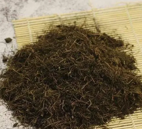 松针腐烂到什么程度才能使用,松针黄了还能救活吗？