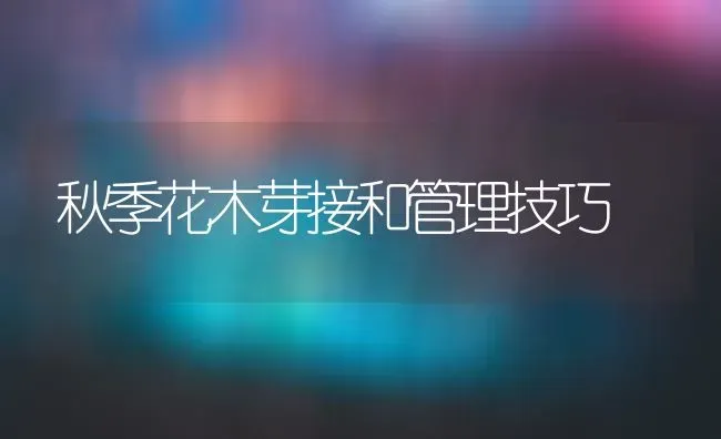 秋季花木芽接和管理技巧 | 养殖知识