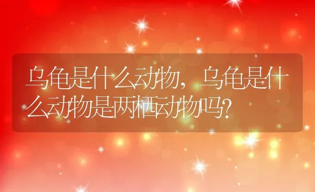 乌龟是什么动物,乌龟是什么动物是两栖动物吗? | 养殖科普