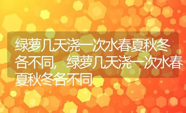 绿萝几天浇一次水春夏秋冬各不同,绿萝几天浇一次水春夏秋冬各不同 | 养殖科普