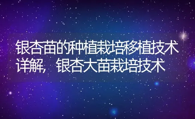 全国芹菜价格最新行情走势,晒晒你们小区的菜价如何 | 养殖学堂