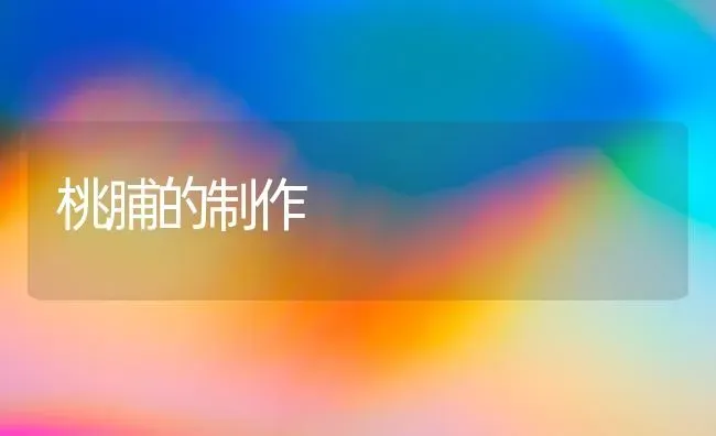 桃脯的制作 | 养殖知识