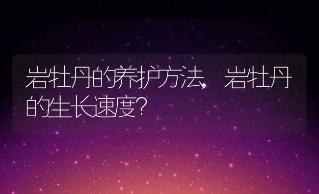 岩牡丹的养护方法,岩牡丹的生长速度？ | 养殖科普