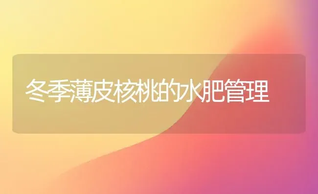 冬季薄皮核桃的水肥管理 | 养殖技术大全