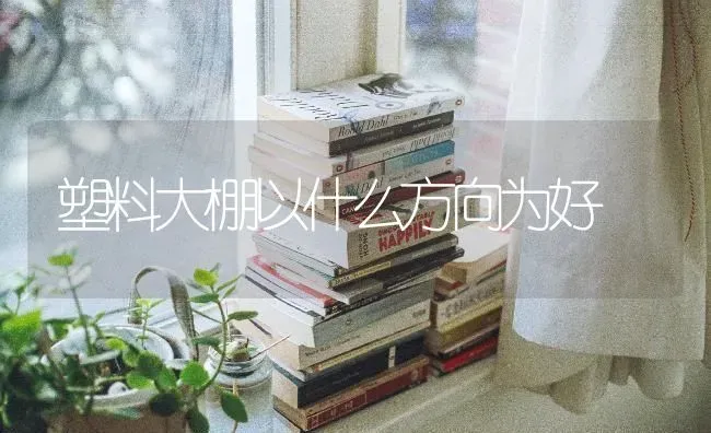塑料大棚以什么方向为好 | 养殖知识