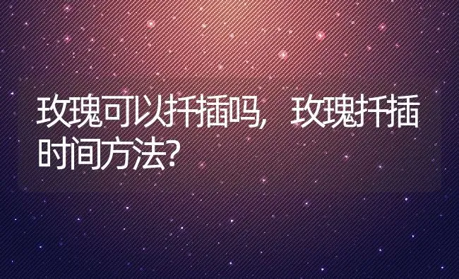 玫瑰可以扦插吗,玫瑰扦插时间方法？ | 养殖科普