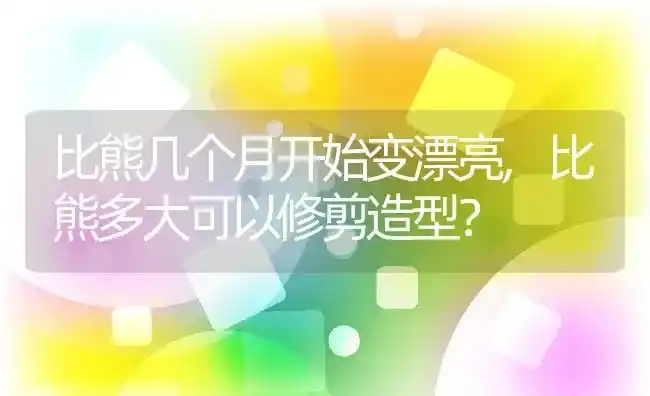 比熊几个月开始变漂亮,比熊多大可以修剪造型？ | 养殖学堂