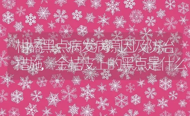 柑橘黑点病发病原因及防治措施,金桔皮上的黑点是什么 | 养殖学堂