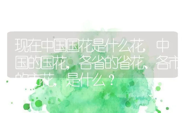 现在中国国花是什么花,中国的国花，各省的省花、各市的市花，是什么？ | 养殖科普