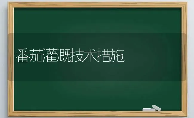 番茄灌溉技术措施 | 养殖知识