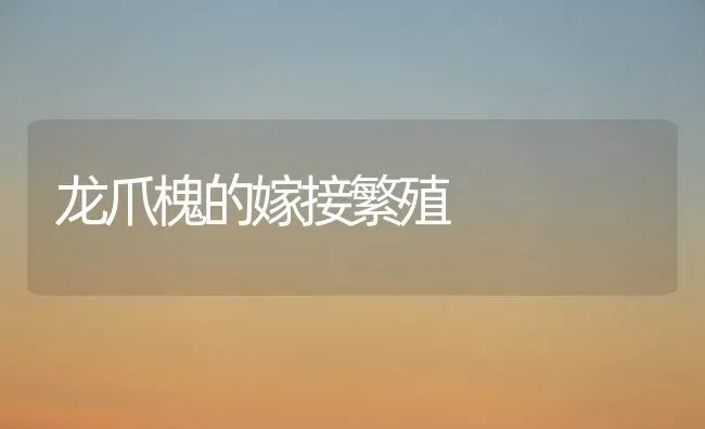 龙爪槐的嫁接繁殖 | 养殖知识