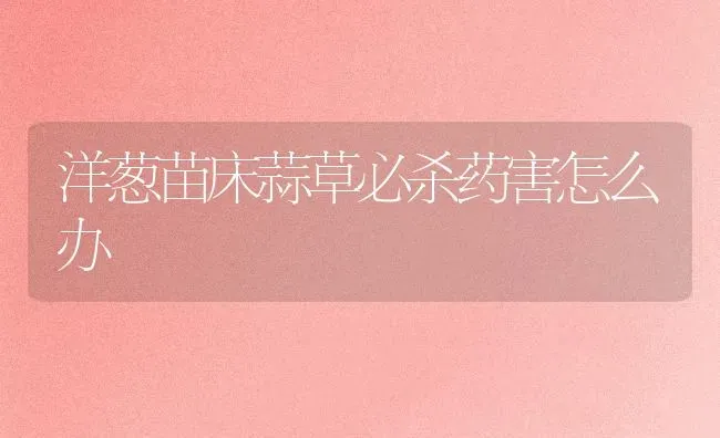 洋葱苗床蒜草必杀药害怎么办 | 养殖知识