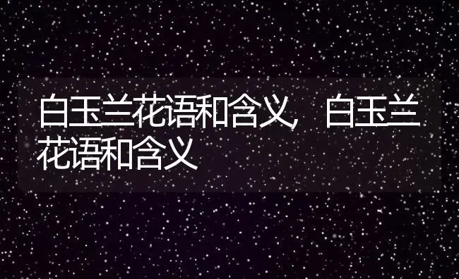 流浪猫进家有什么预兆,怀孕的流浪猫进家有什么预兆 | 养殖科普