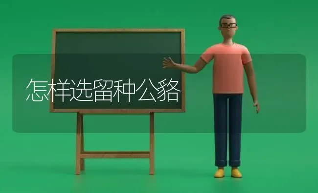 怎样选留种公貉 | 养殖技术大全