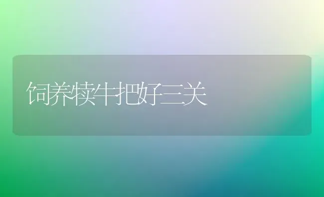 饲养犊牛把好三关 | 养殖知识