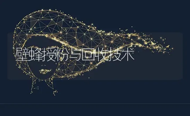 壁蜂授粉与回收技术 | 养殖技术大全